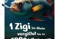 Fisch mit Zigarette dazu den Text "1 Zigi im Rhein vergiftet bis zu 1000 Liter Wasser."